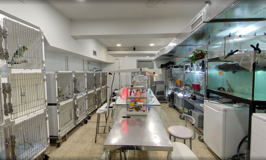 Área de hospitalización